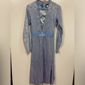 Deluxe Disney Frozen 2 dress. Dress up. Halloween. Elsa, Anna. Siblings costume